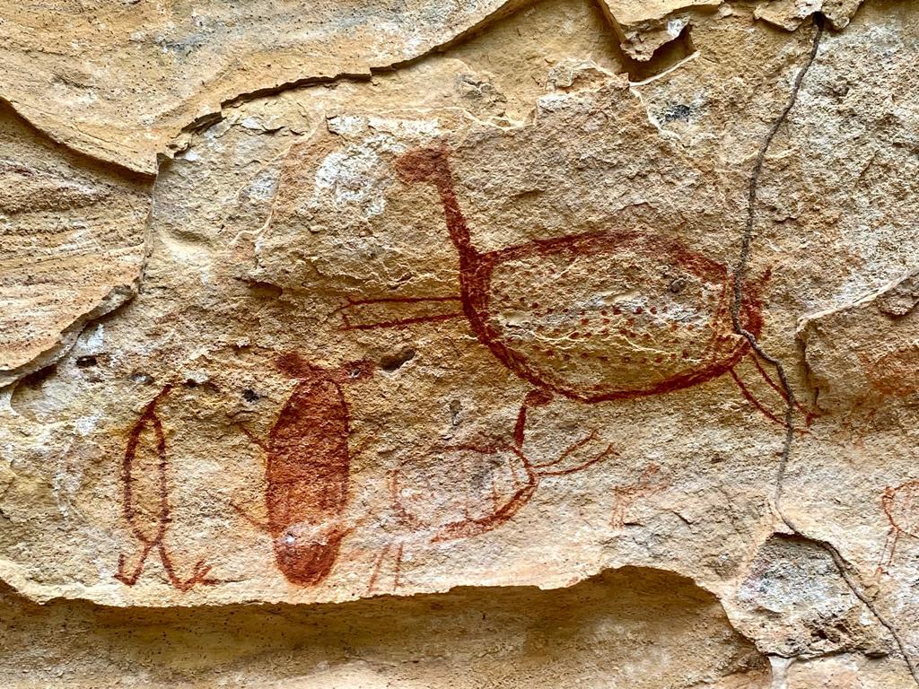 Imagens de pinturas rupestres na Serra da Capivara